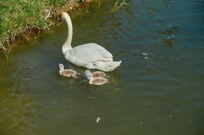 Прикрепленное изображение: Image00004.jpg